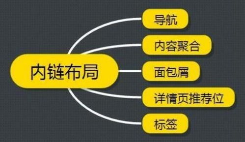 公司网站如何进行seo优化